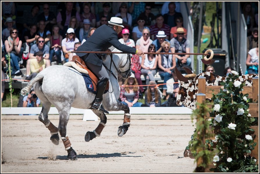 Pferd International 081